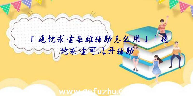 「绝地求生枭雄辅助怎么用」|绝地求生可以开辅助